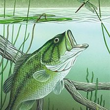 Схема вышивки «В подарок рыбаку»