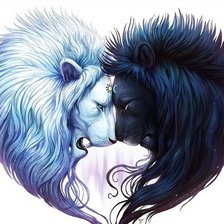 Схема вышивки «Черно белое»