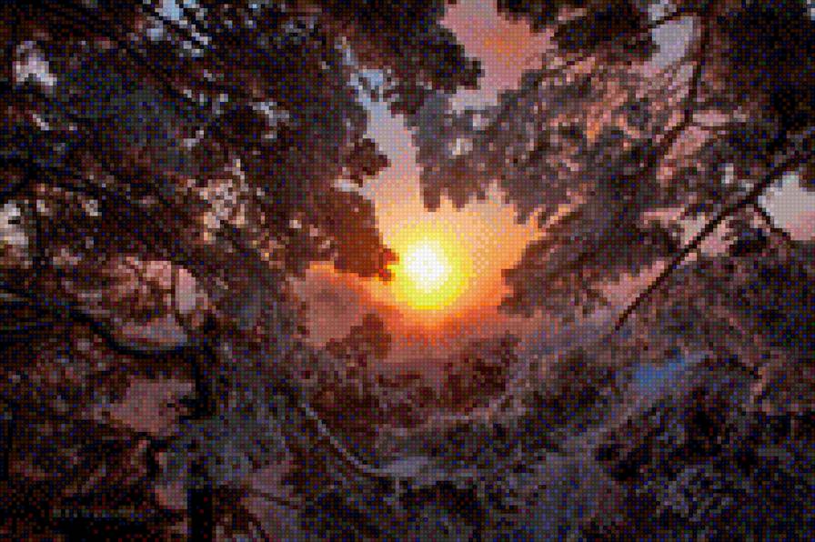 Зима - пейзаж, лес, зима, солнце, природа - предпросмотр