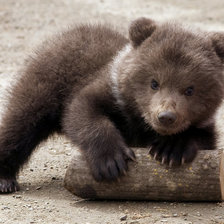 Схема вышивки «Мишута»