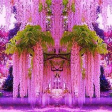 Схема вышивки «Райские сады»