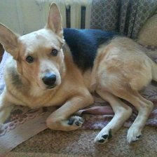 Схема вышивки «169»