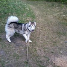 Схема вышивки «174»