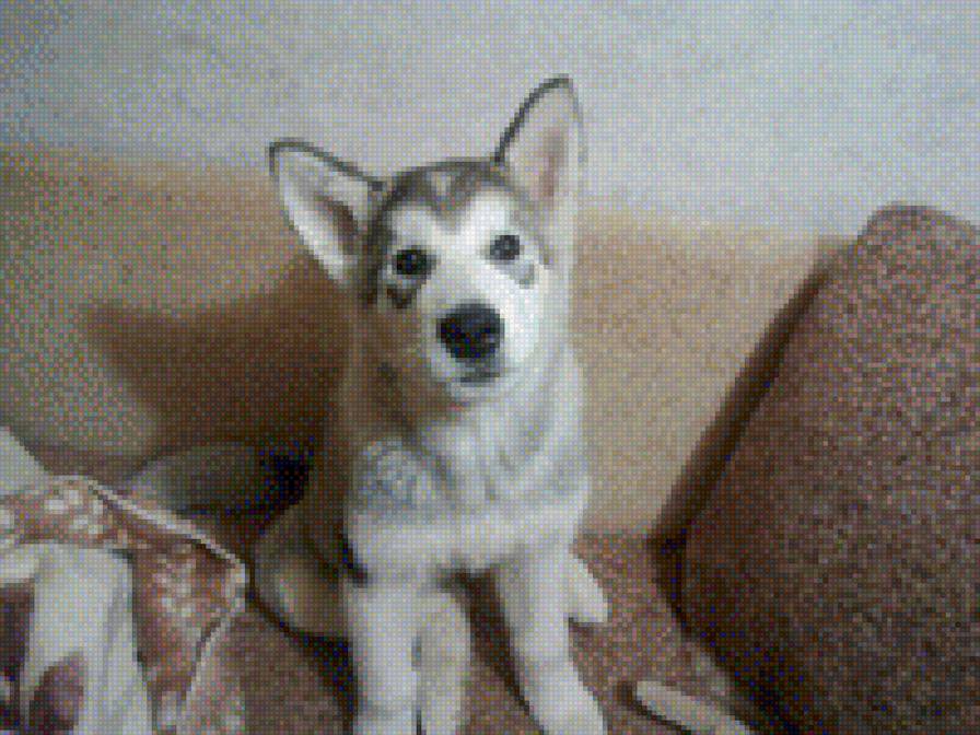 176 - предпросмотр