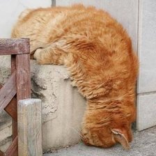 Схема вышивки «высшая степень лени»