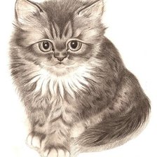 Схема вышивки «Котенок»