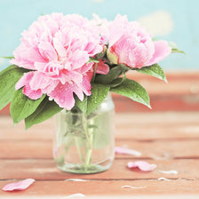 Схема вышивки «пионы в вазе-3»