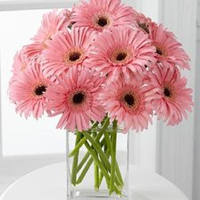 Схема вышивки «герберы4»