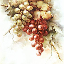 Схема вышивки «фрукты»