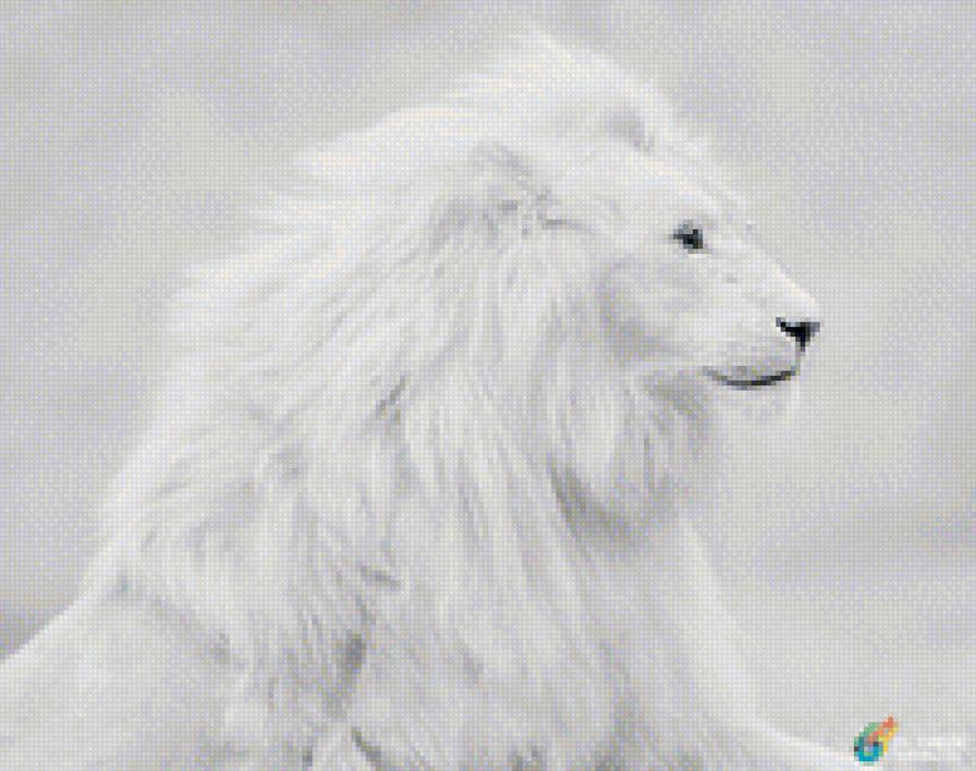 лев - предпросмотр