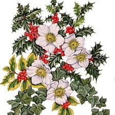 Схема вышивки «цветы»