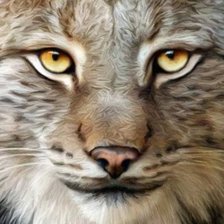 Схема вышивки «Рысь»