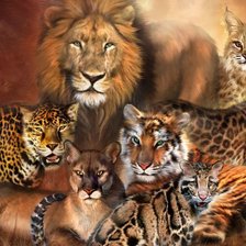 Схема вышивки «Кошачье царство»