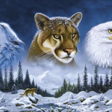 Животные Америки