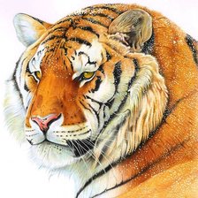 Схема вышивки «Тигр и снег»