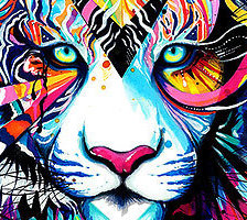 Взгляд тигра