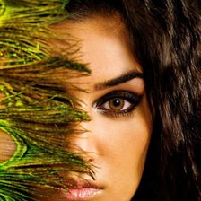 Схема вышивки «девушка с перьями»