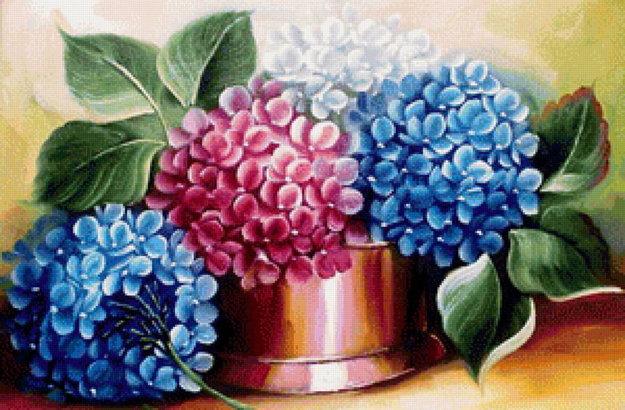 Гортензия - букет, цветок, цветы - предпросмотр