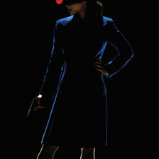 Схема вышивки «агент картерт»