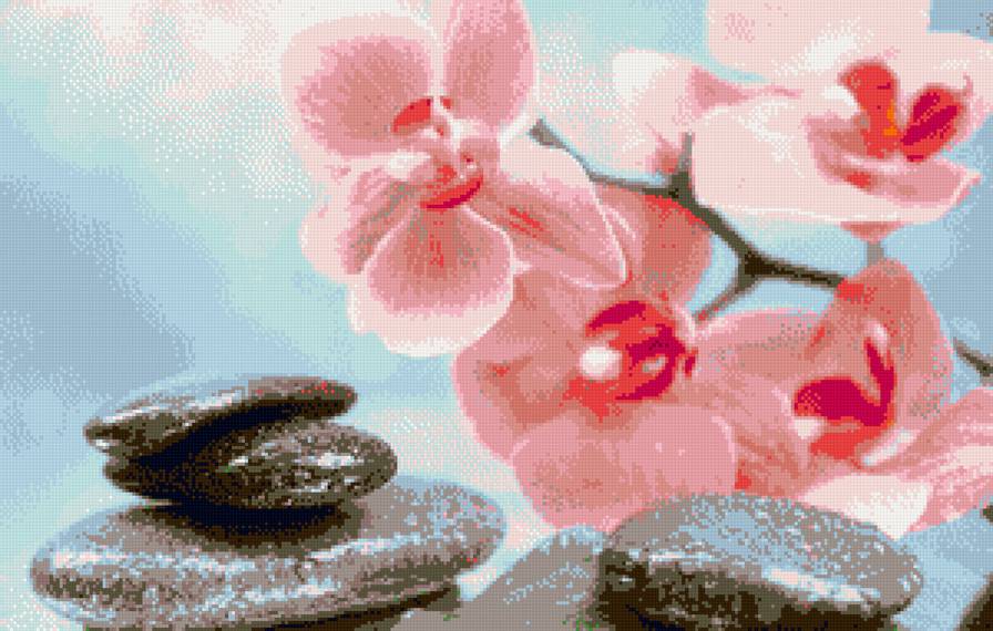 Орхидея - картина, цветы, орхидея - предпросмотр