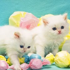 Схема вышивки «Котята»