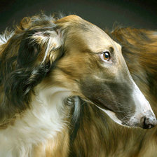 Схема вышивки «русская борзая»