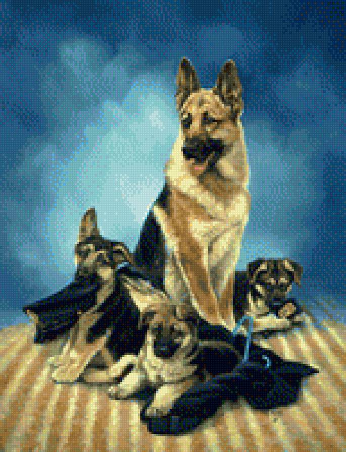 0242 - щенок, природа, красота, собака, картина, животные - предпросмотр