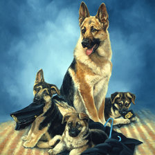 Схема вышивки «0242»