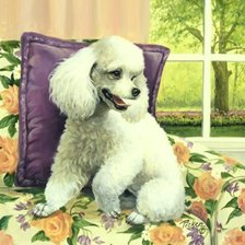 Схема вышивки «0244»