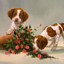 Схема вышивки «0245»