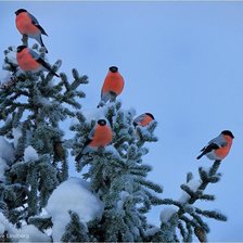 Схема вышивки «№1126448»