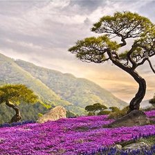 Схема вышивки «природа»