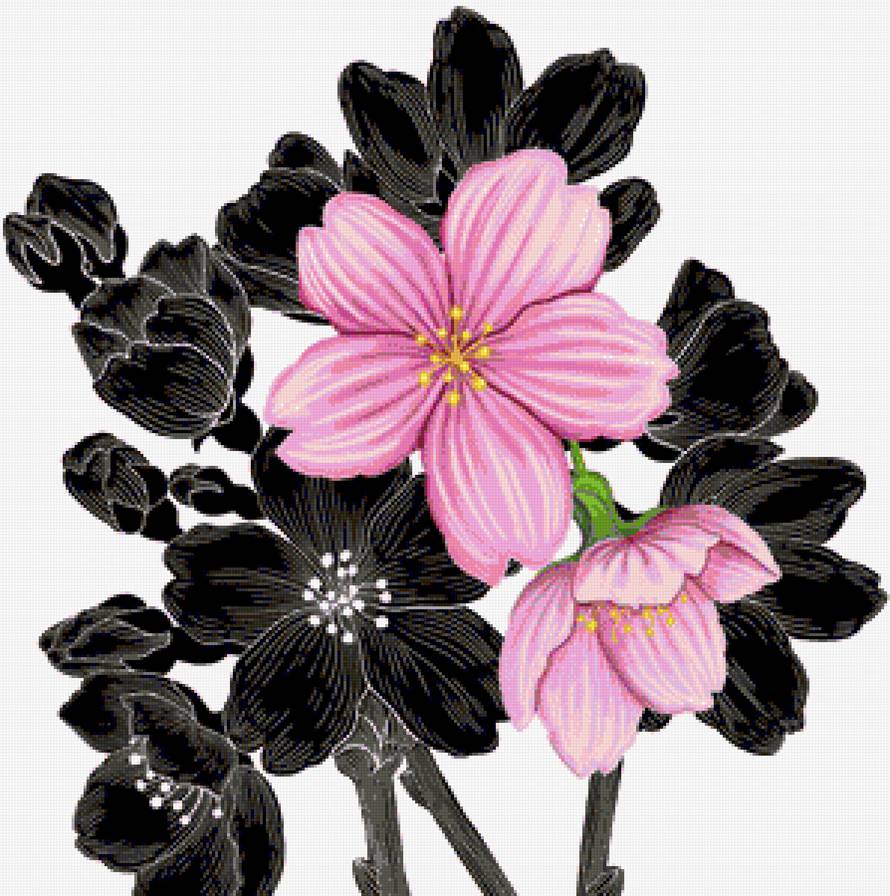 Цветок - цветы, цветок - предпросмотр