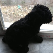 Схема вышивки «Жду маму»