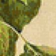 Предпросмотр схемы вышивки «Физалис» (№1126722)