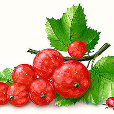 Схема вышивки «24»