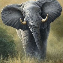 Схема вышивки «№1126958»