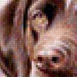 Предпросмотр схемы вышивки «собаки» (№1127032)