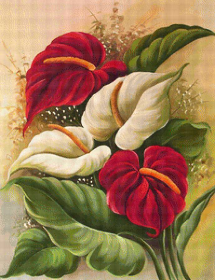 Каллы - букет, цветок, цветы - предпросмотр