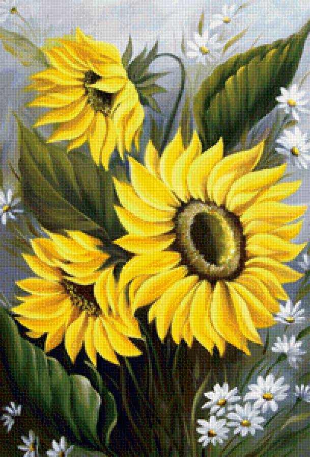 Подсолнухи - цветок, подсолнух, букет, ромашка, цветы, ромашки - предпросмотр