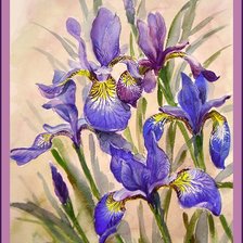 Схема вышивки «Ирисы»