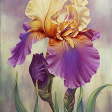 Схема вышивки «Ирис»