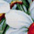 Предпросмотр схемы вышивки «Нарциссы» (№1127848)