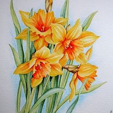 Схема вышивки «Желтые нарциссы»