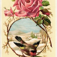 Схема вышивки «Роза»