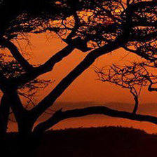 Схема вышивки «лівий верх»