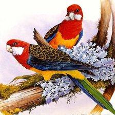 Схема вышивки «Сладкая парочка»