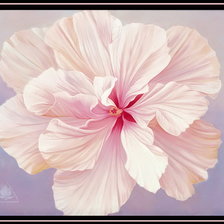 Пастельные тона