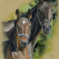 Схема вышивки «№1128362»