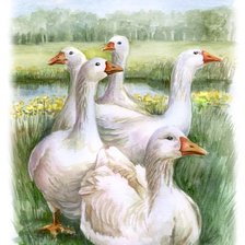 Схема вышивки «№1128368»